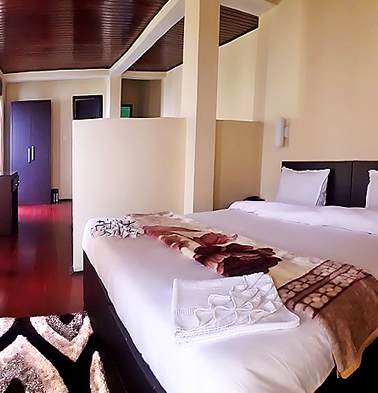 Hotel Buddha Park Residency Ravangla Accommodation